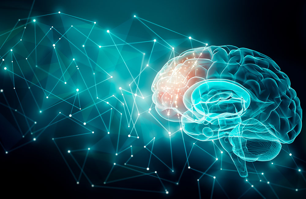 Aktivitität des menschlichen Gehirns (c) Matthieu - stock.adobe